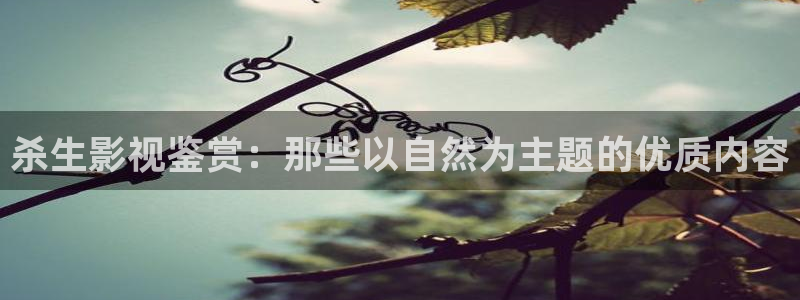 一光棍影院