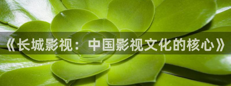 免费光棍电影网